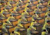 Social Engineering for Multi-Polar Silk Road (Part-II)