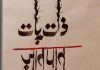 Politics of Manuscripts in South Asia