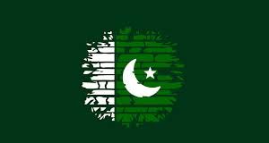 Cyber Terrorism and National Security of Pakistan